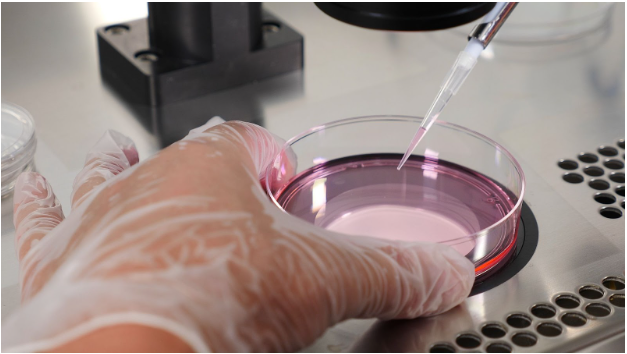 Ovum Pickup Room for IVF – Safe and Advanced Egg Retrieval